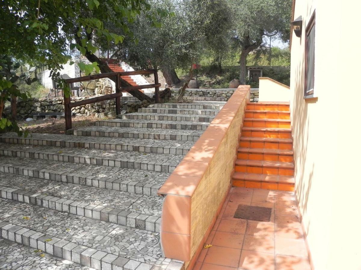 Agriturismo B&B Il Rifugio Di Nino Contursi Eksteriør bilde