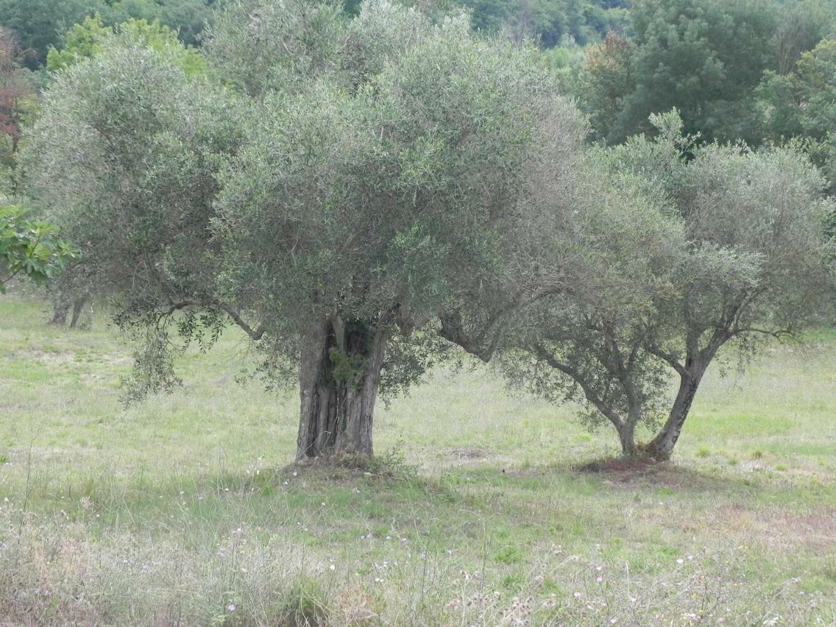 B&B Il Rifugio Di Nino Contursi Eksteriør bilde